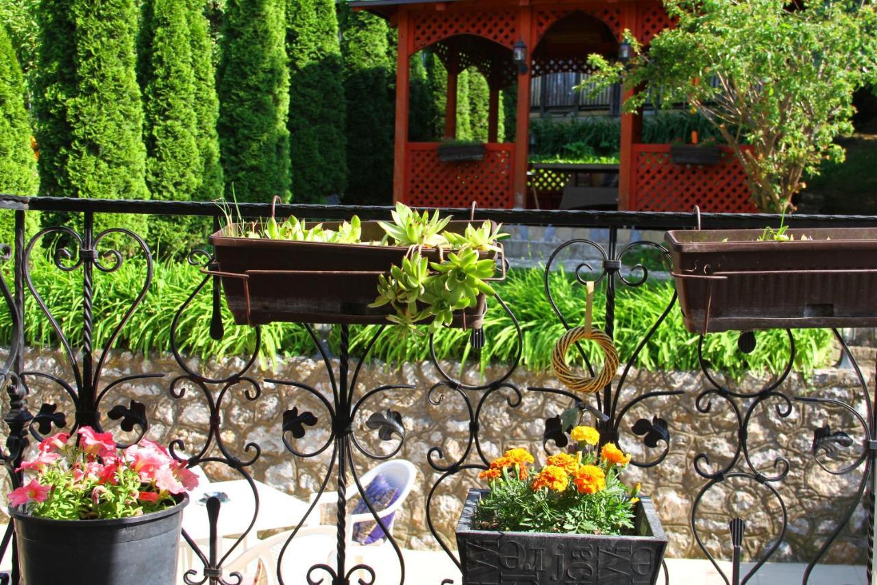 Downtown Green Oasis Apartments Sarajewo Zewnętrze zdjęcie