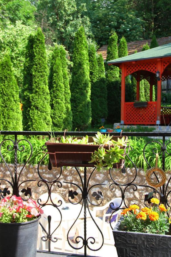 Downtown Green Oasis Apartments Sarajewo Zewnętrze zdjęcie